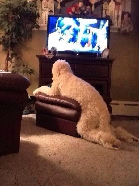 He thinks hes people