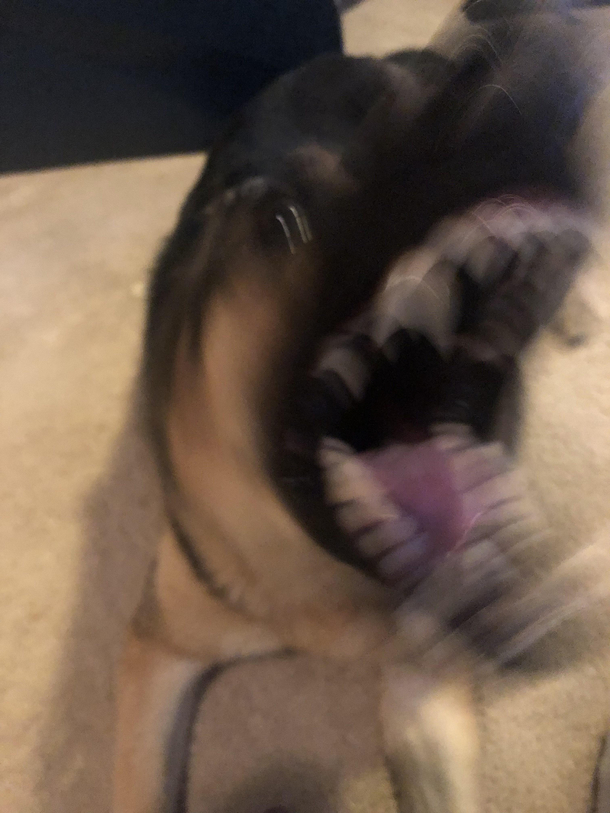 He wants the ball