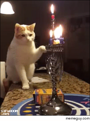 He who plays with fire
