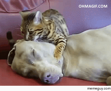 Head Massage