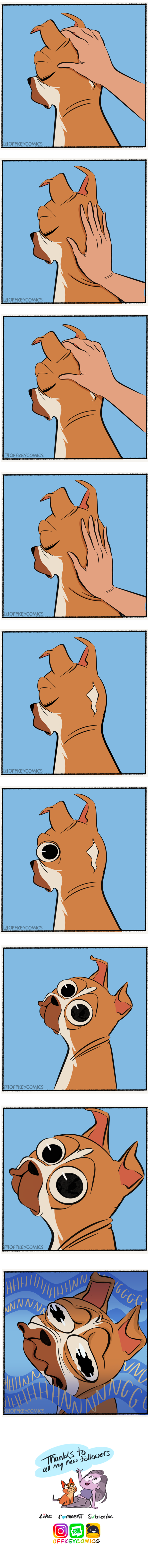 Head scratches 
