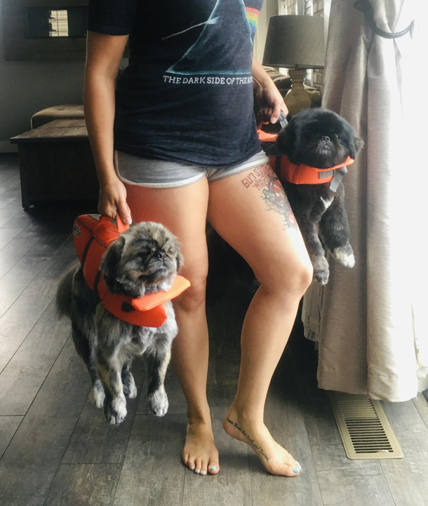 Heading to the lake for the first time with the pups They love their new vests