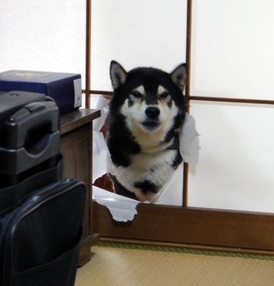 Heard you talking shit