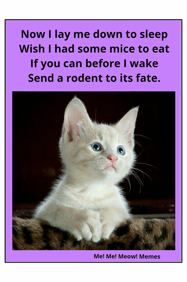 Heartfelt prayer