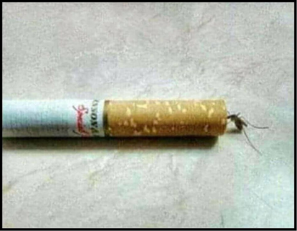Heavy Smoker