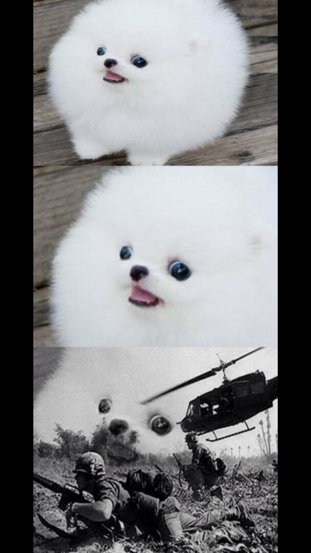 heckin floshbacks