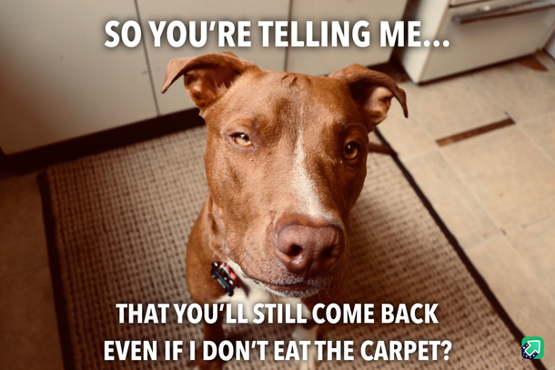 Hed still do it anyway