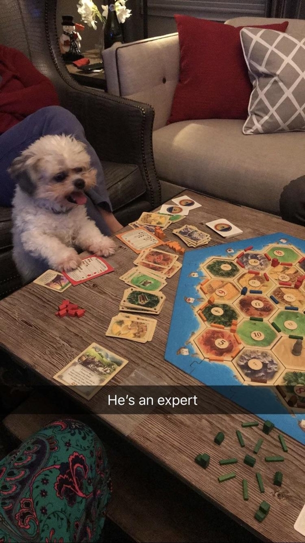 Hell take a dev card