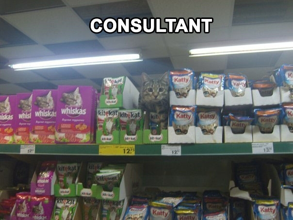 Hello How can I help you Sir