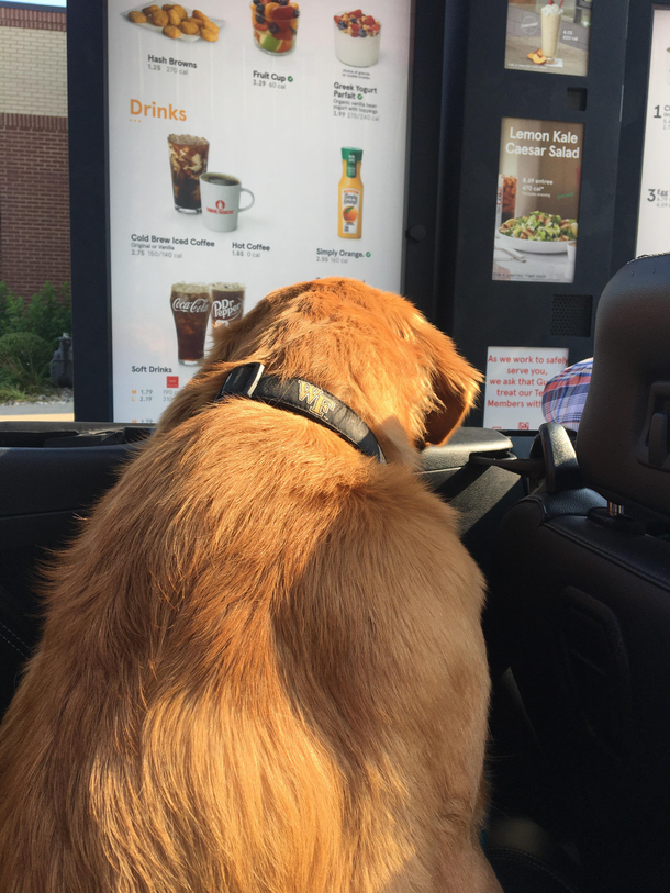 Hello I would like one chimken sandwich and waffle fwies
