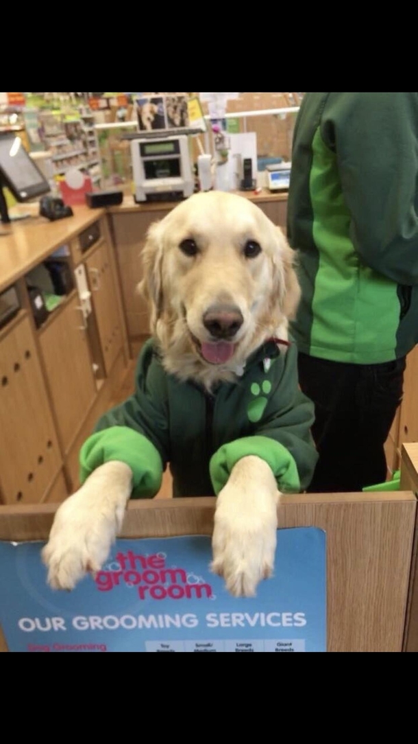 Hello may I take your woof