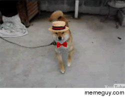 Hello my baby Hello my honey Hello such ragtime wow 