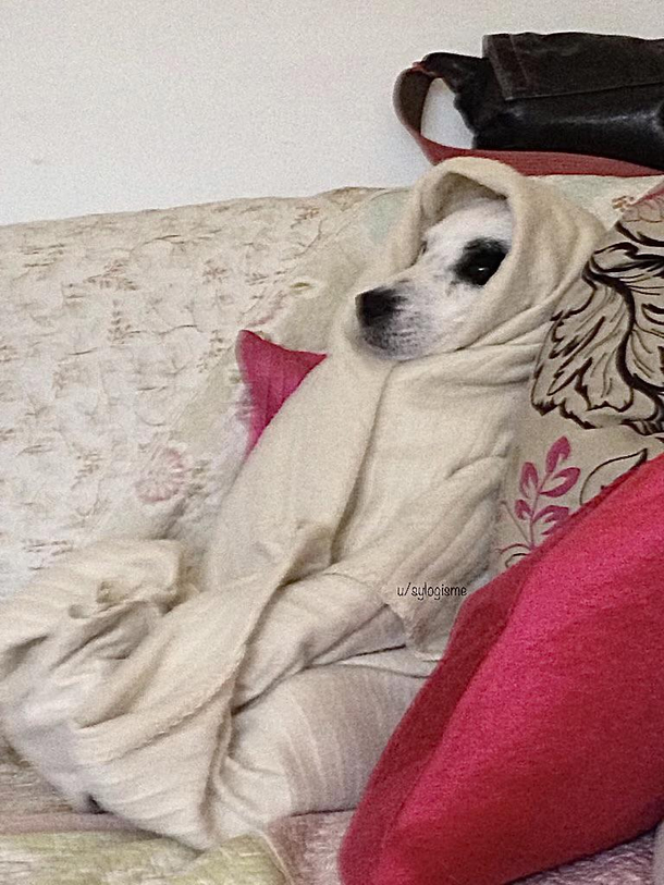 Hello Nana