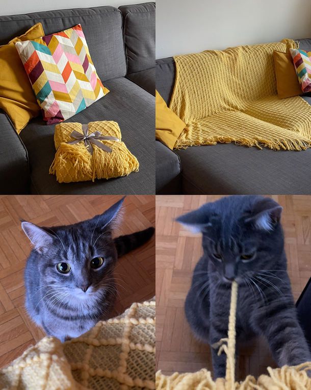 Hello throw goodbye throw