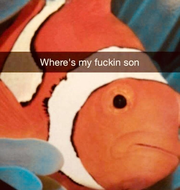 Help find