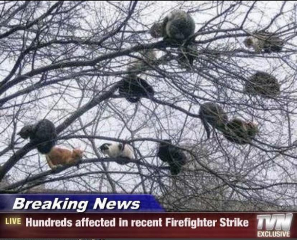 Help them They are stuck