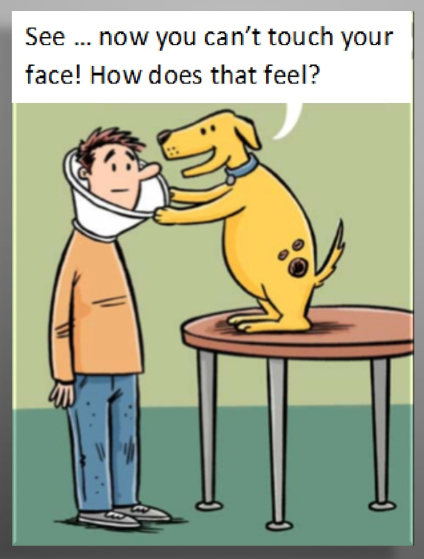 Helpful pup is trying to help lol