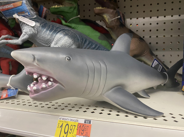 Her der her Im a shark