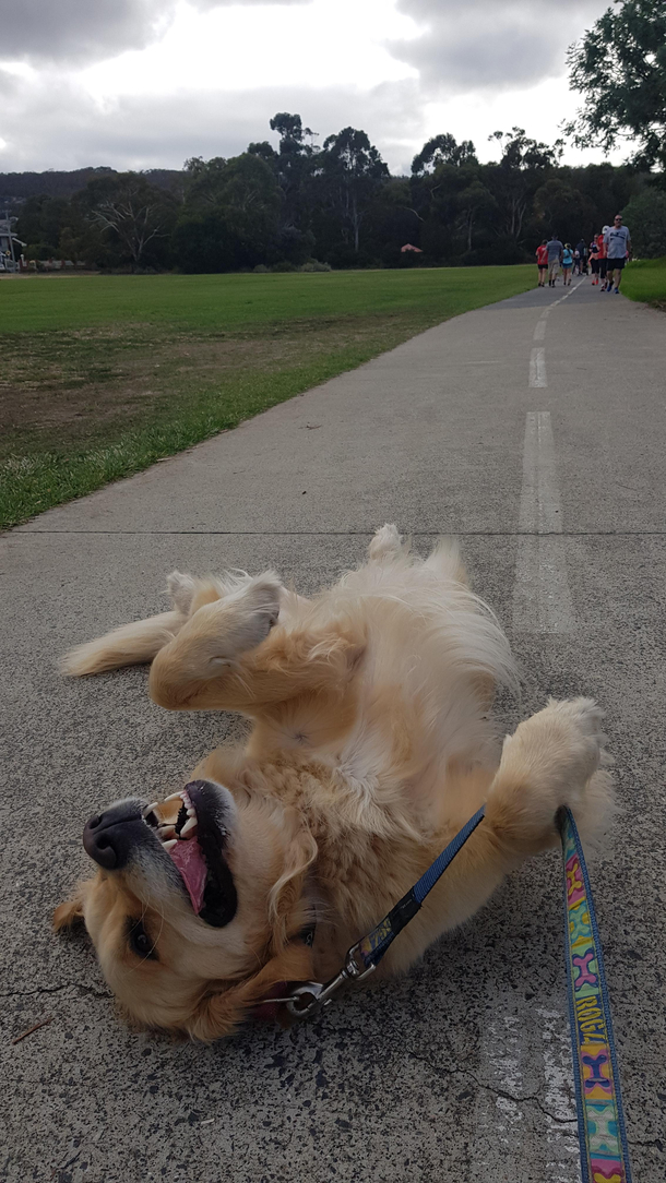 Her first fun run was not a success