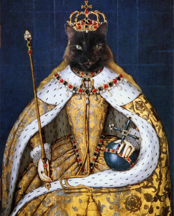 Her Royal Scratchyness Lady Fluffybottom