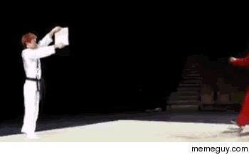 Here hold my beer That Ryu-like kick though