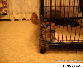 Here I am