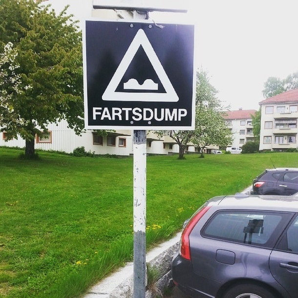 Here in Norway we have a pretty unique name for speed bump
