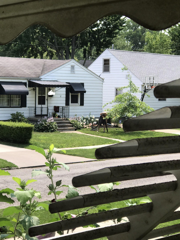 Heres a picture of my neighbor vacuuming his lawn Hope you enjoy it as much as I did