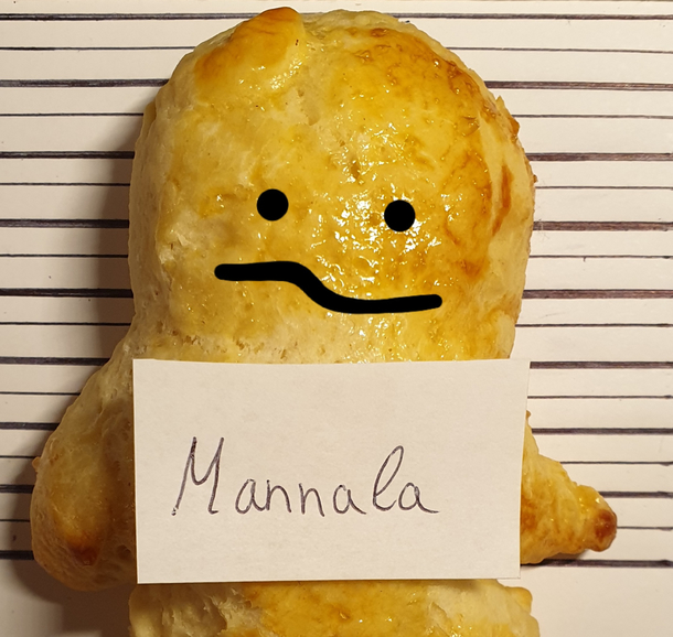 Heres the mugshot of the bread cats owner