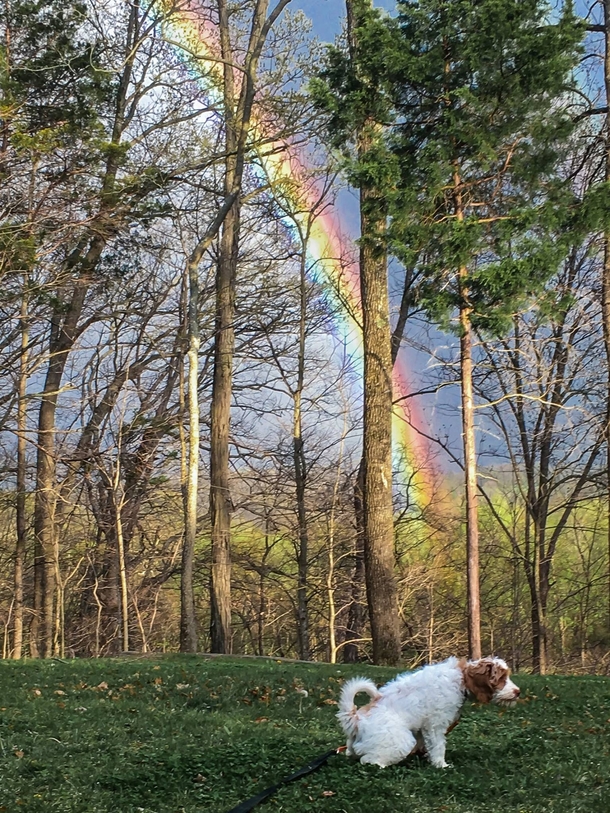 Heres your pot of gold