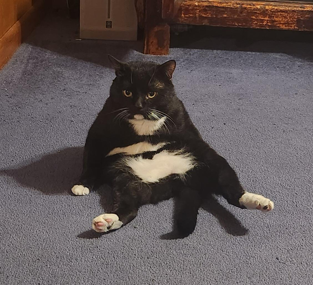 hes a bit odd but we love him just the same