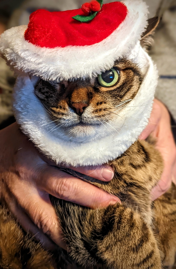 Hes checked his list youre all getting coal