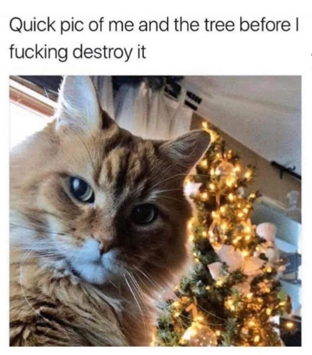 Hes getting bolder ever year