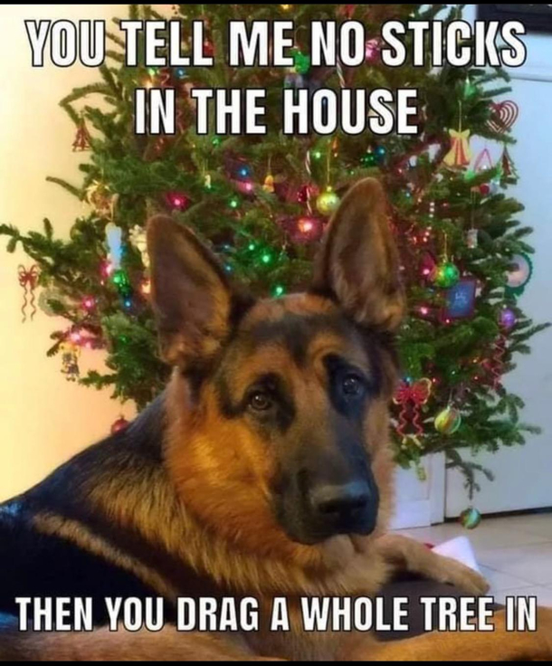 Hes got a point