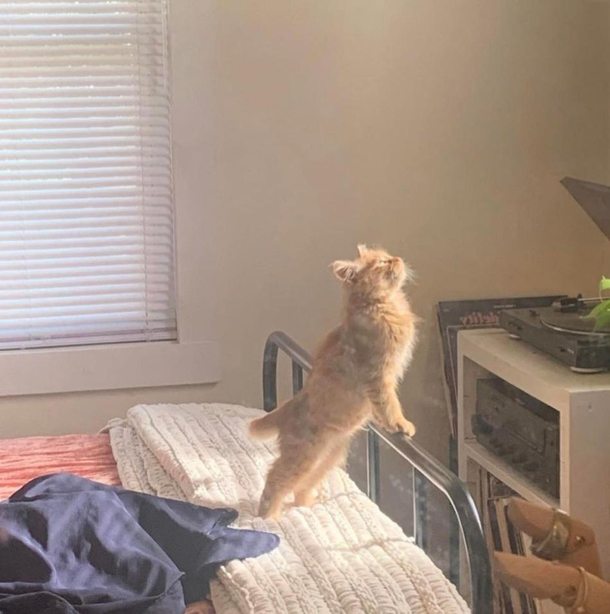 Hes having a moment