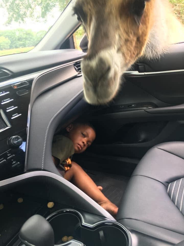 Hes not a big fan