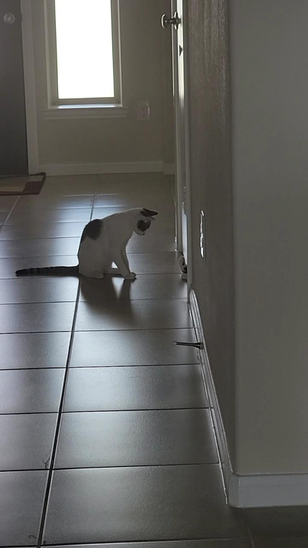 Hes trapped in a room and his brother is just watching him struggle to get out
