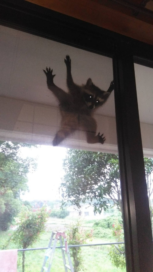 Hes waiting Hes hungry He wants your soul