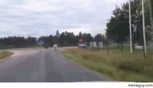 Hesitant driver just isnt mooving