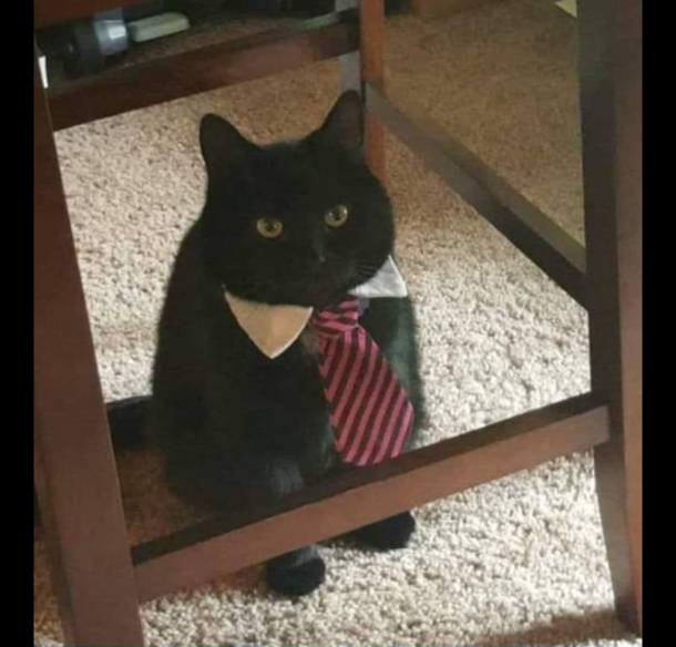 Hey Boss I need a raise I had  sons yesterday