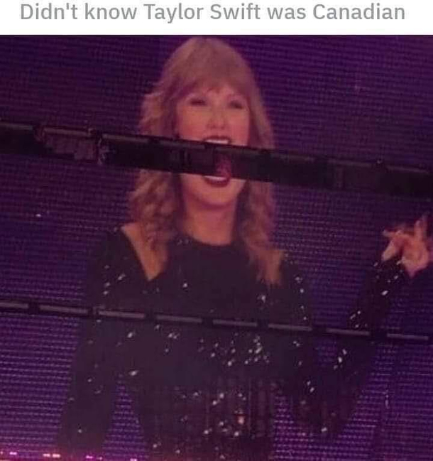 Hey buddy did you know Taylor Swift was Canadian