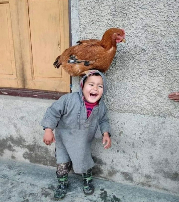 Hey  check out my Chicken hat