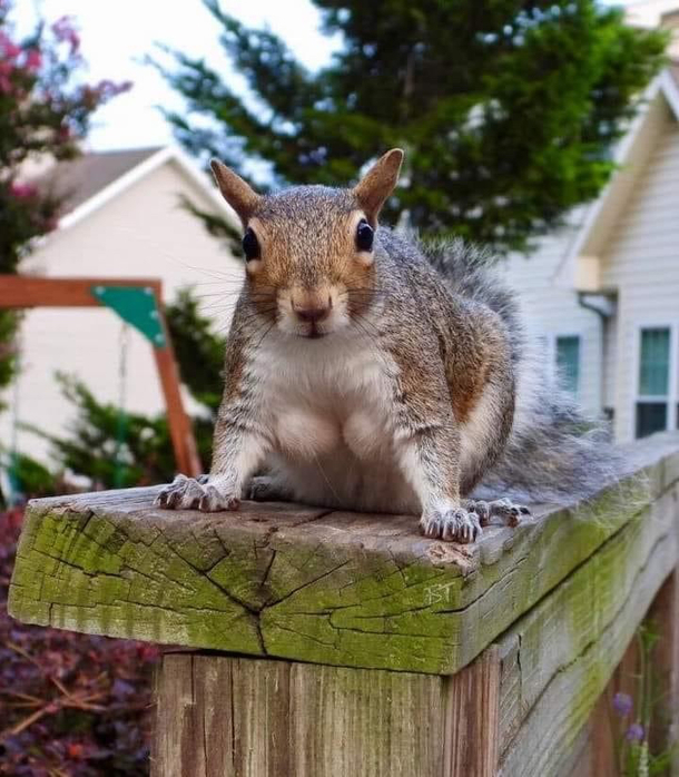 Hey hey my eyes are up here