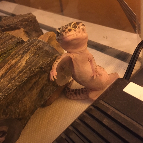 Hey honey how was your day Ive been waiting for you
