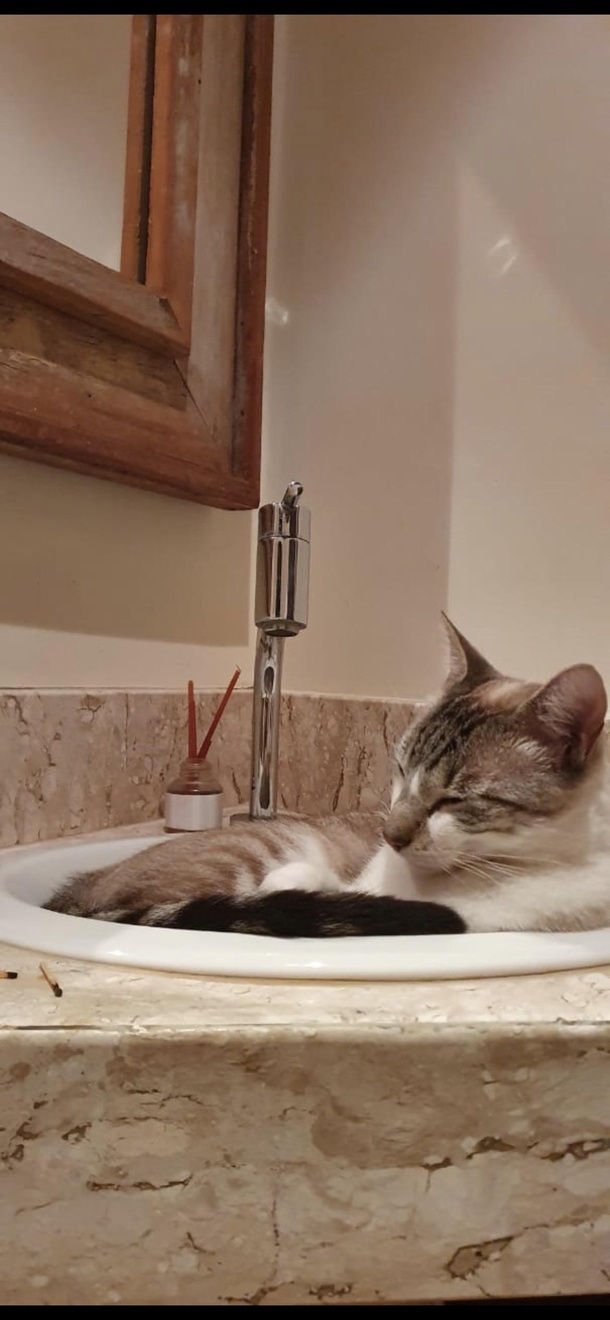 hey human look for somewhere else to wash your dirty hands
