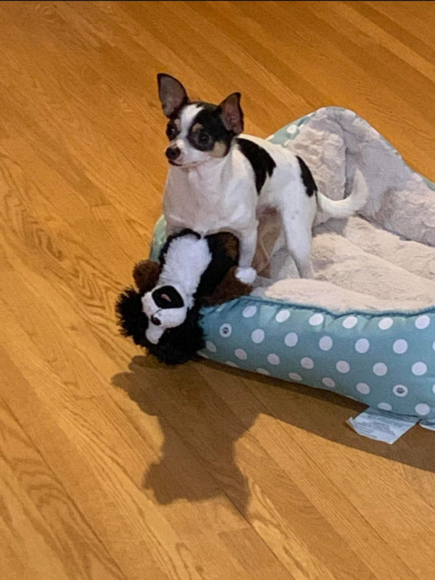 Hey Move along nothing to see here 