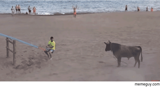 Hey there Bull fuck you