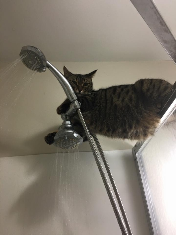 Hey what are you doing You taking a shower Thats cool Ill just hang out here