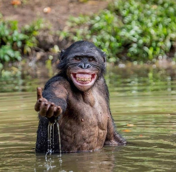 Hey you come here