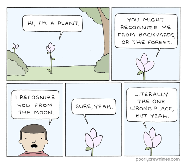 Hi Im a plant